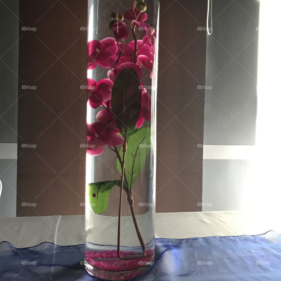 Orchid in the water