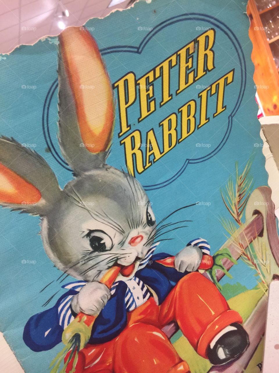 Peter rabbit 