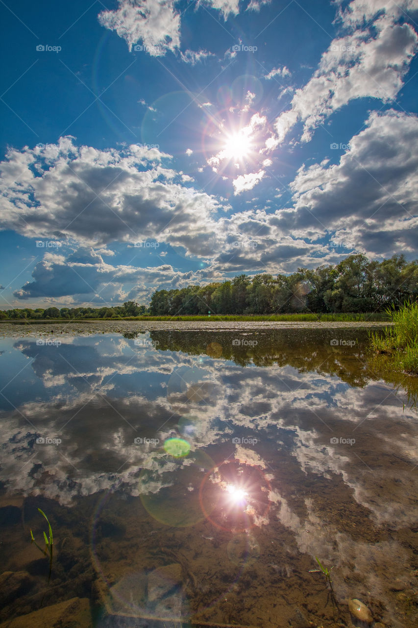 sun and clouds are reflected in the biotope