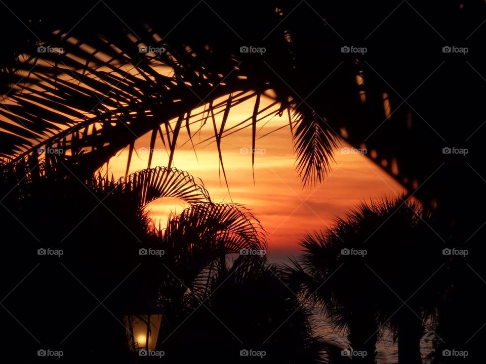 Sunset on the west coast of florida