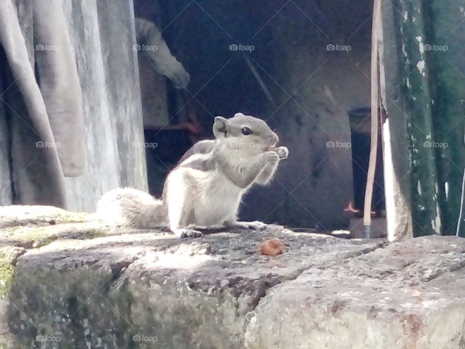 no. 1 picture,royal photo,Nice photo,Natural photo,Memorable photo,A wonderful photo,A beautiful photo,Amazing photo,Best photo,Real photo,A photo for you,Special photo for special,Very good photo for you,Preserve photo,Wow click photo