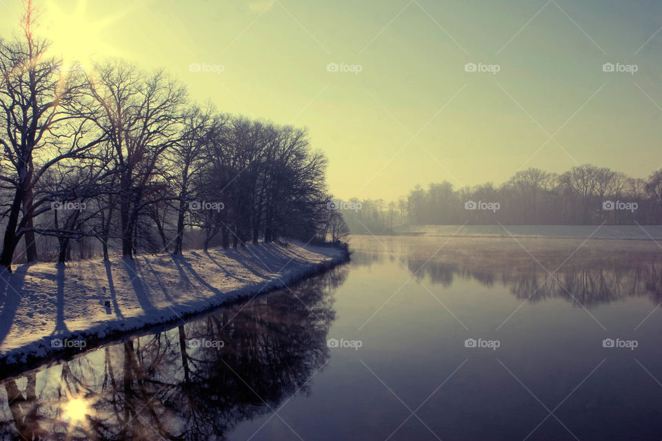 Dawn, No Person, Tree, Water, Lake