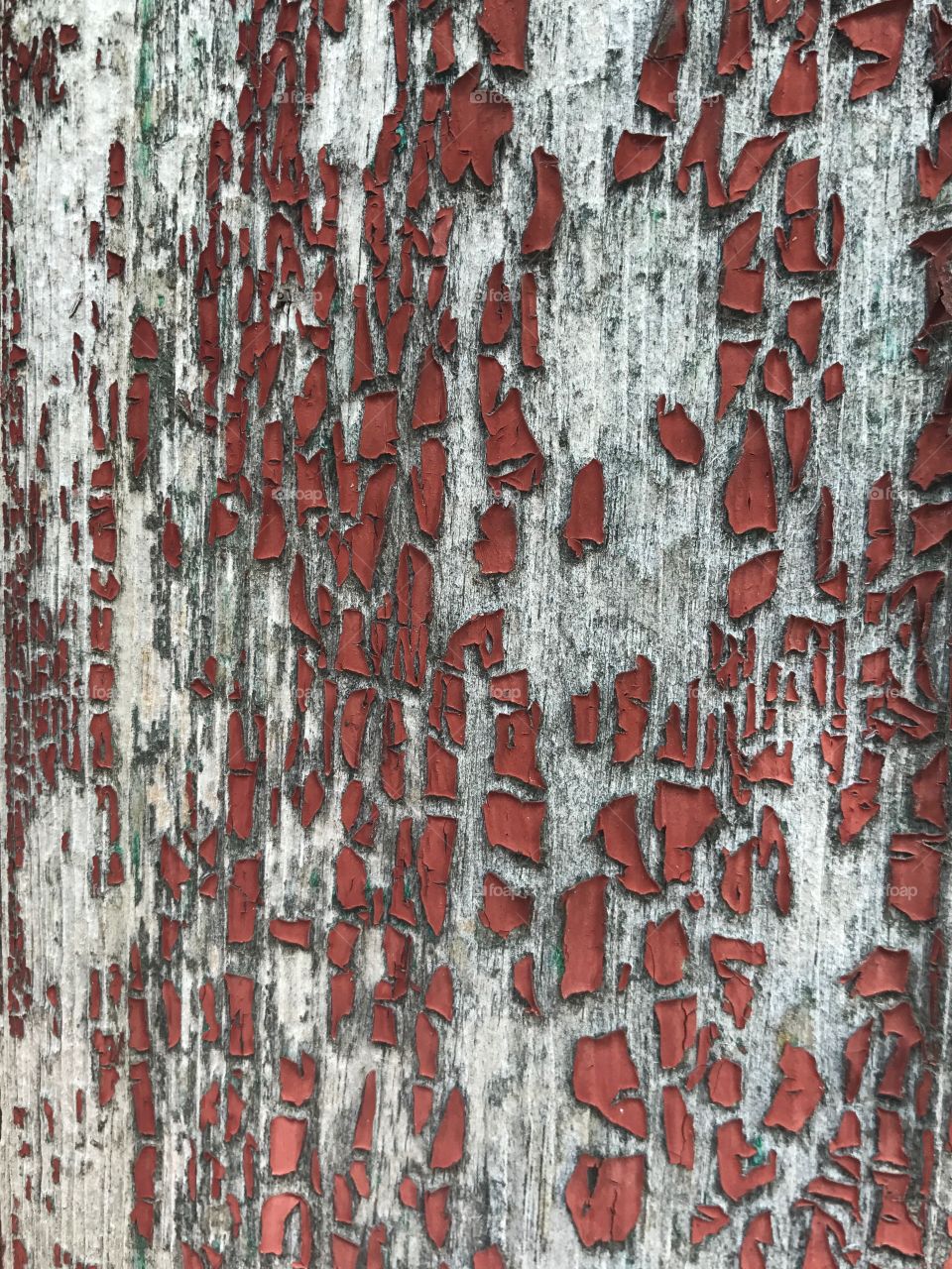 Texture 