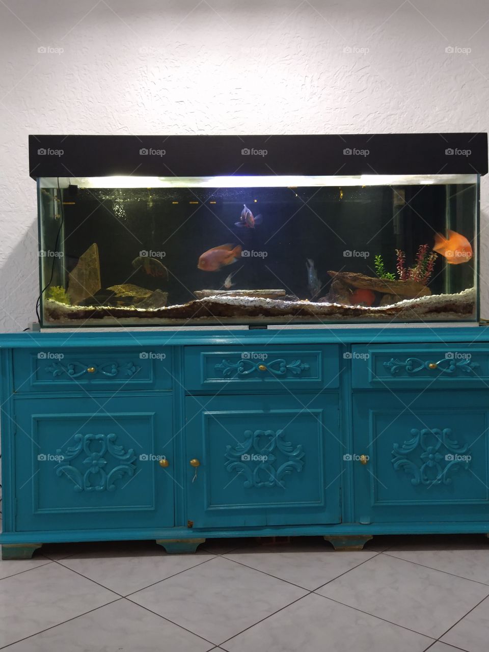 aquário