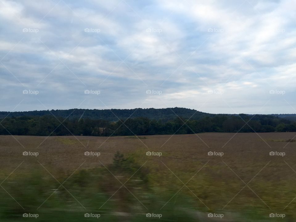 Landscape with grass in the sky