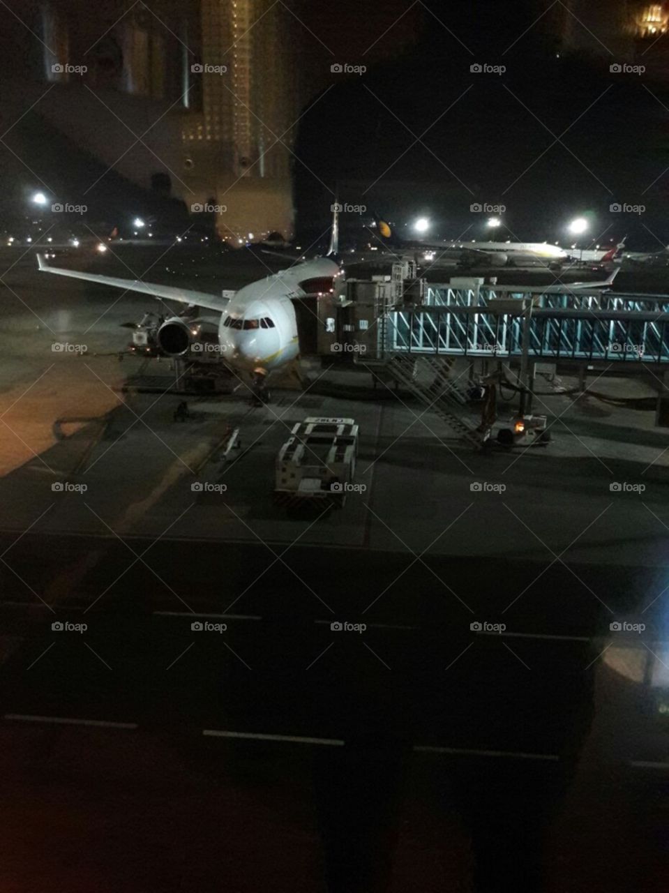 Let's Fly✈️❤️