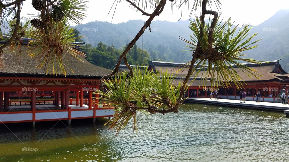 Itsukushima Shrine,  Miyajima