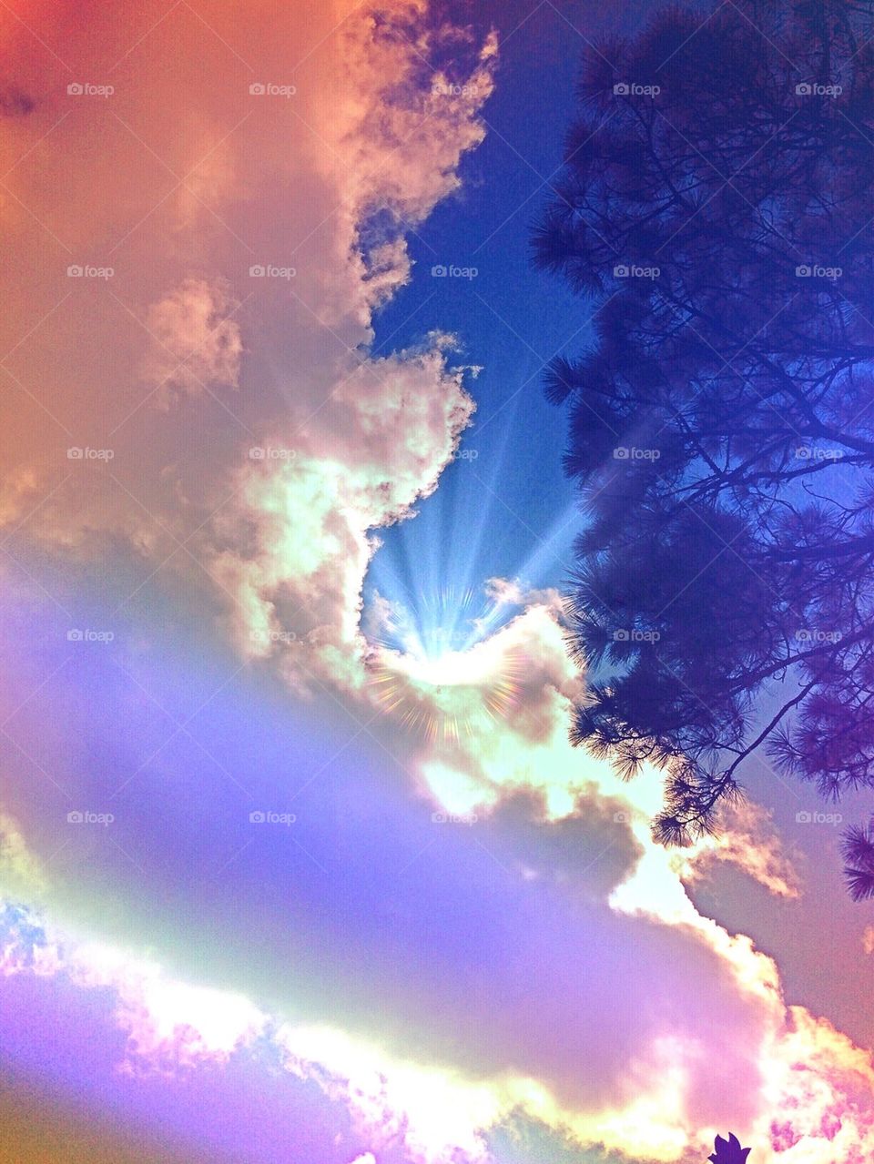 Rainbow sky dreams. Rainbow sky dreams