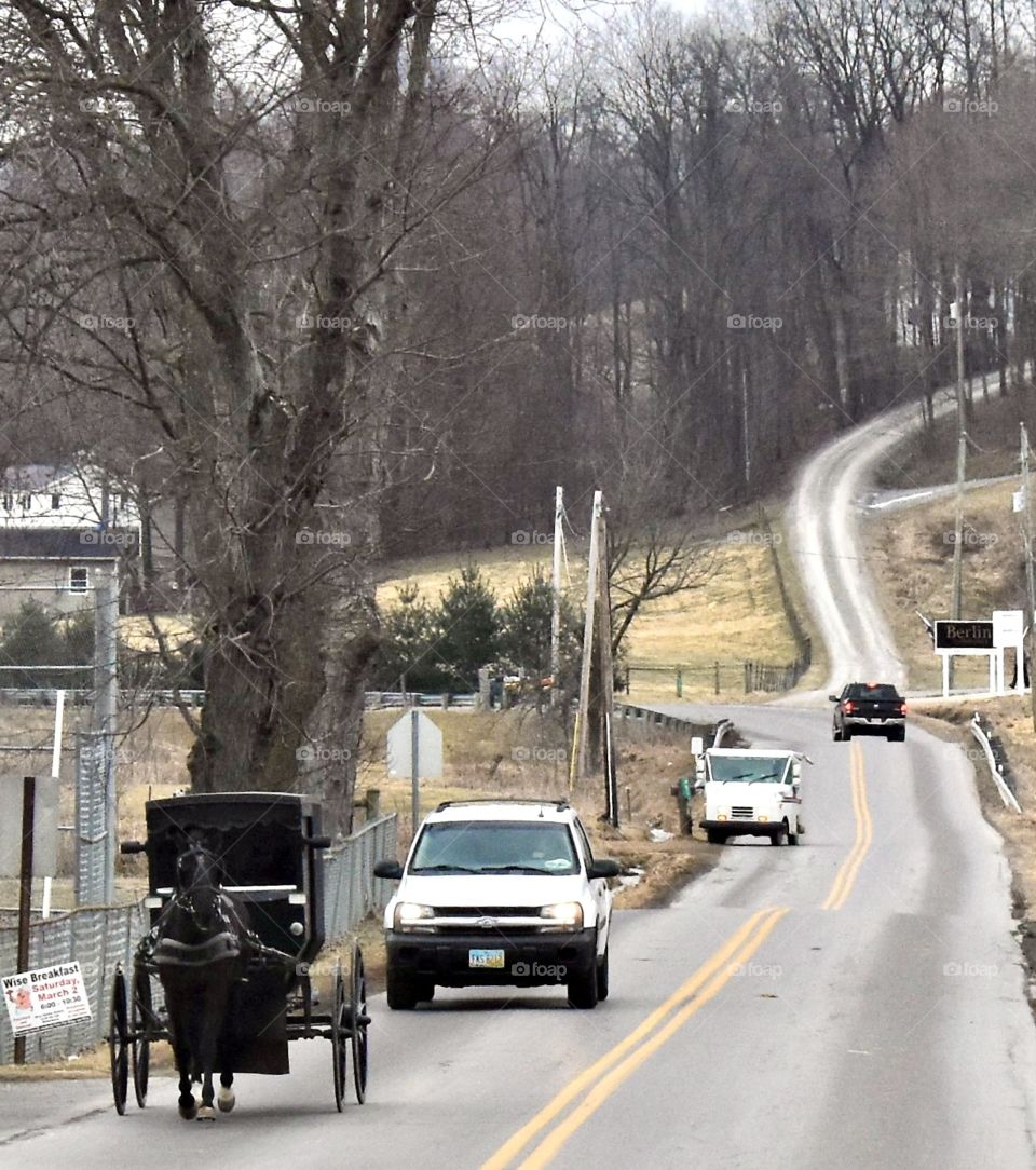 Horse and buggy along with a few cars on a country road