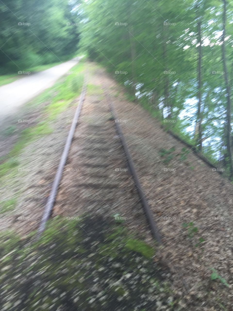 No Person, Guidance, Wood, Landscape, Leaf