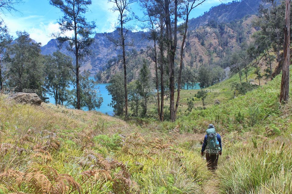 Mountain forest and a caldera