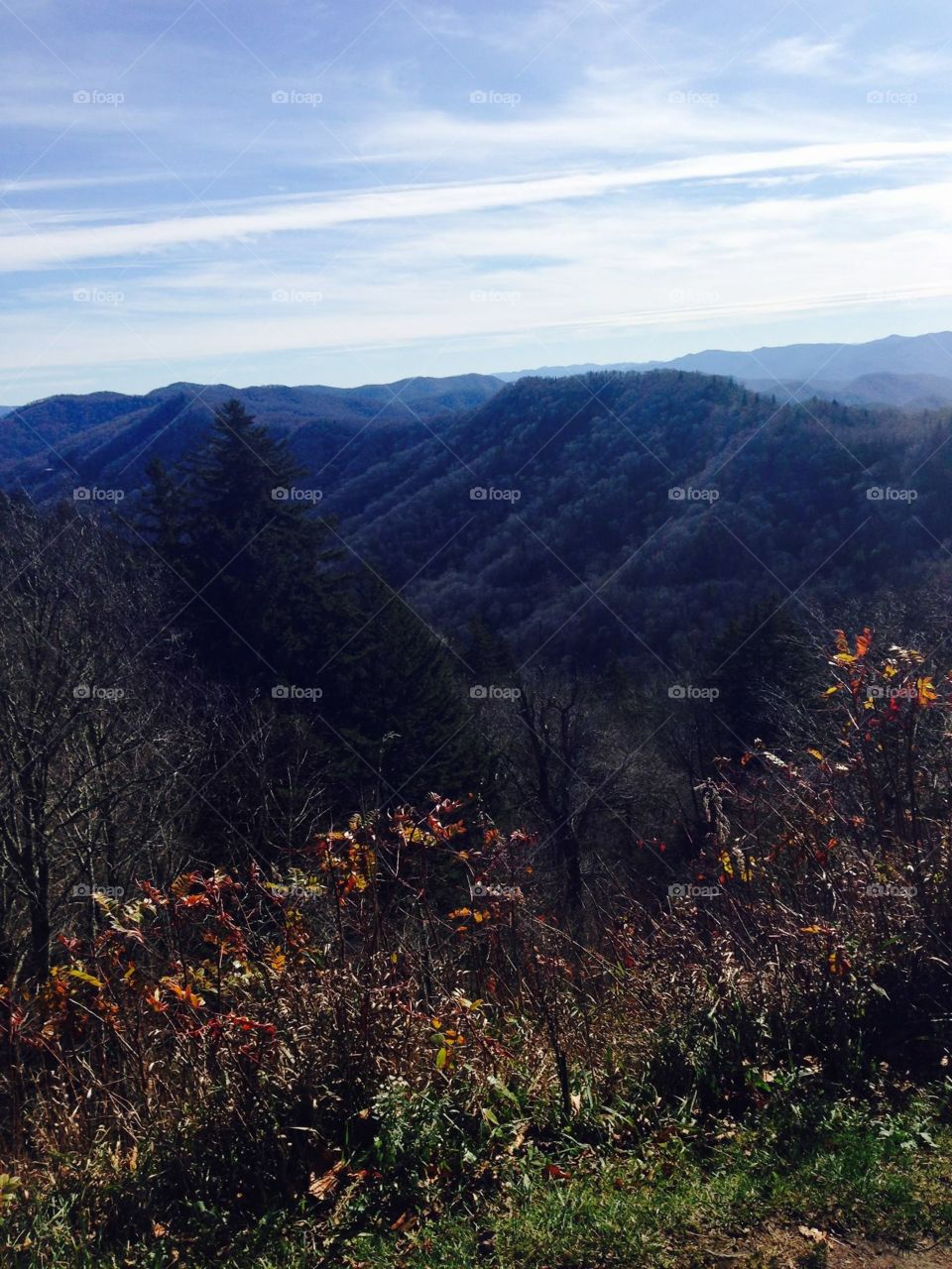 The hills of Tennessee are some of the most beautiful you will ever see! The mountain crisp air is some of the best you will ever breathe in. 