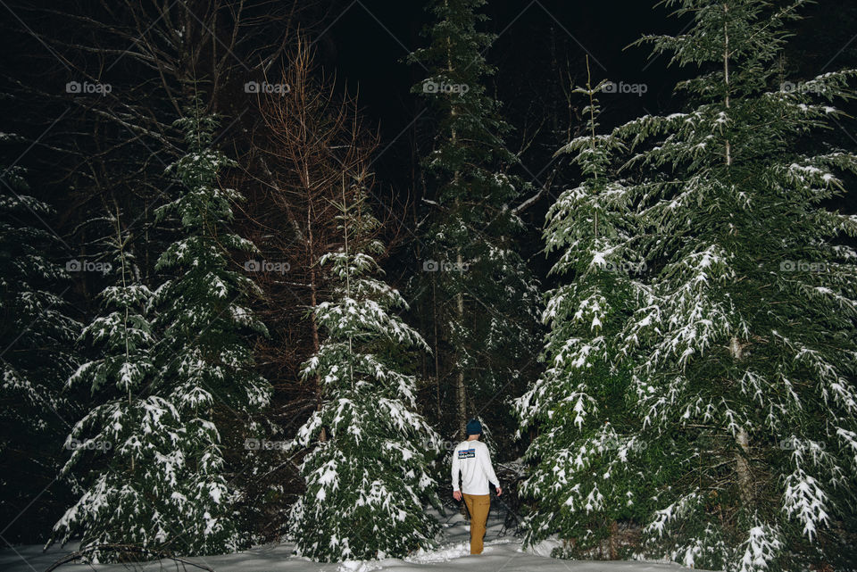 Chilly evening walks in a wintery forest