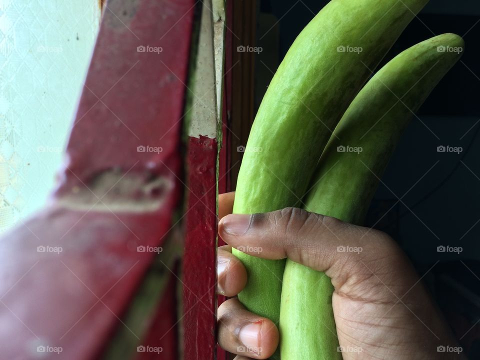 holding food 