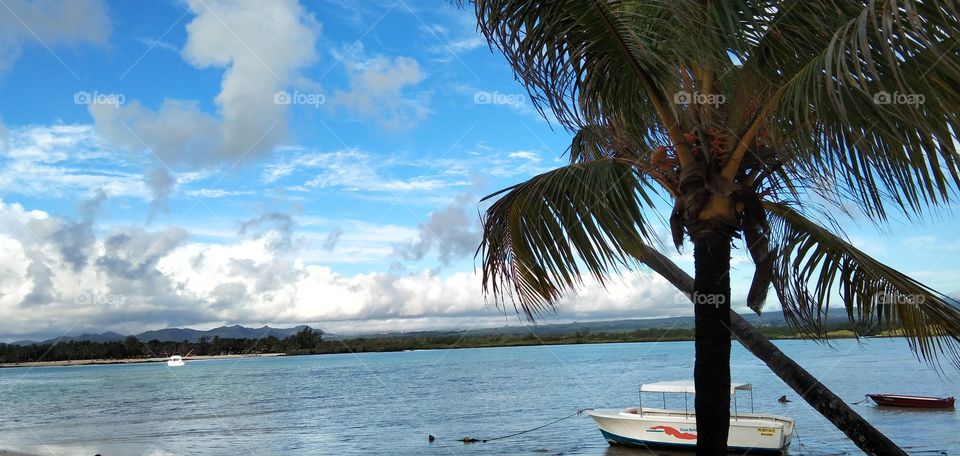 Blue skies, white clouds, blueish water, coconut tree, a boat tied by rope at sea shore, just relaxing here is like a perfect holiday time!