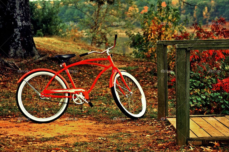 The Red Bike