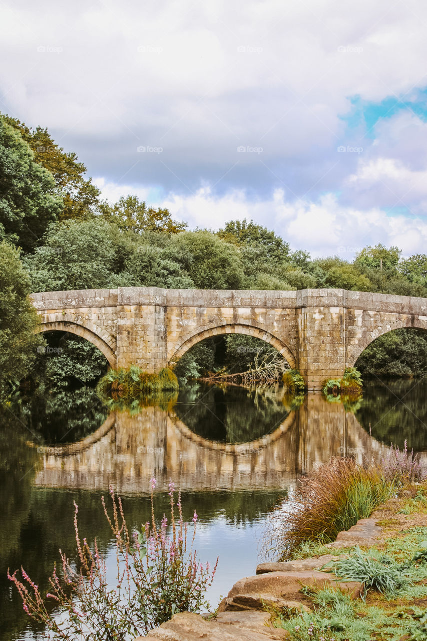 bridge reflection