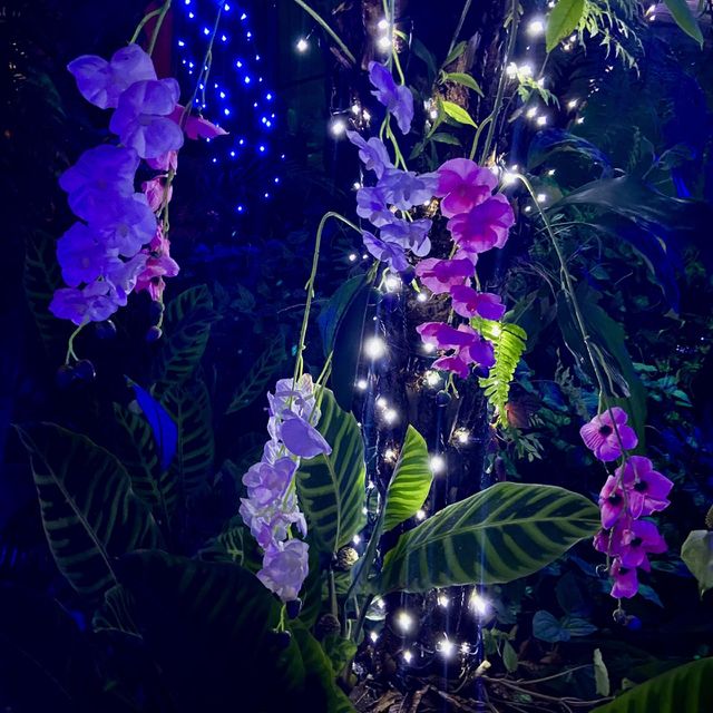 Orquídeas 