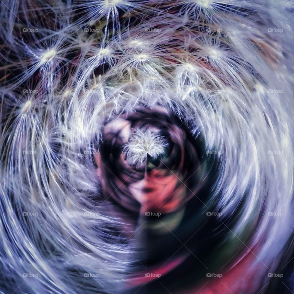 Contrast abstract colorful