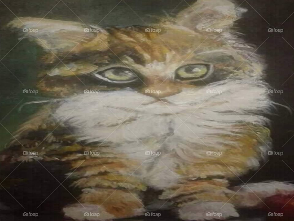 Oil painting cat