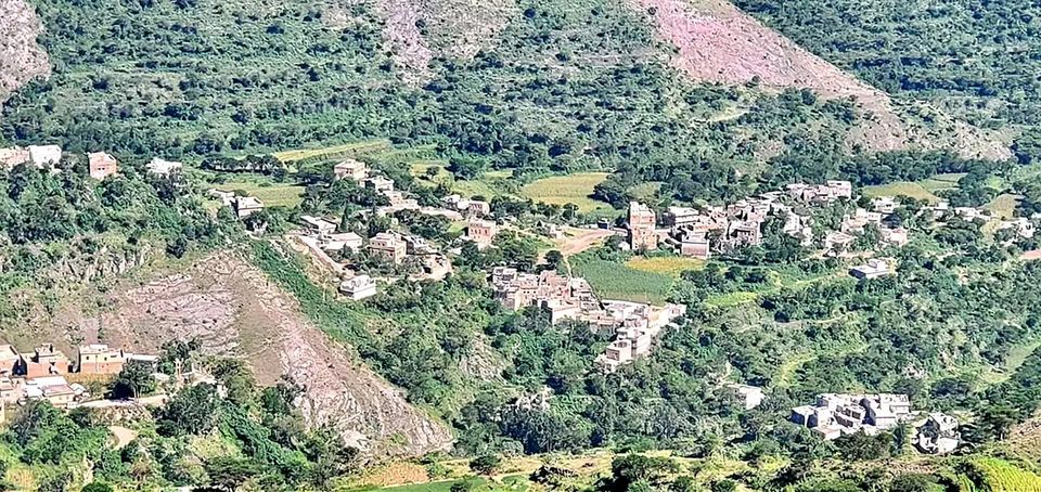 A very beautiful picture, and there is no better picture than it. There is no better picture of green herbs and colorful, red and white roses than it. Glory be to God, the natural and picturesque view, and there is no more