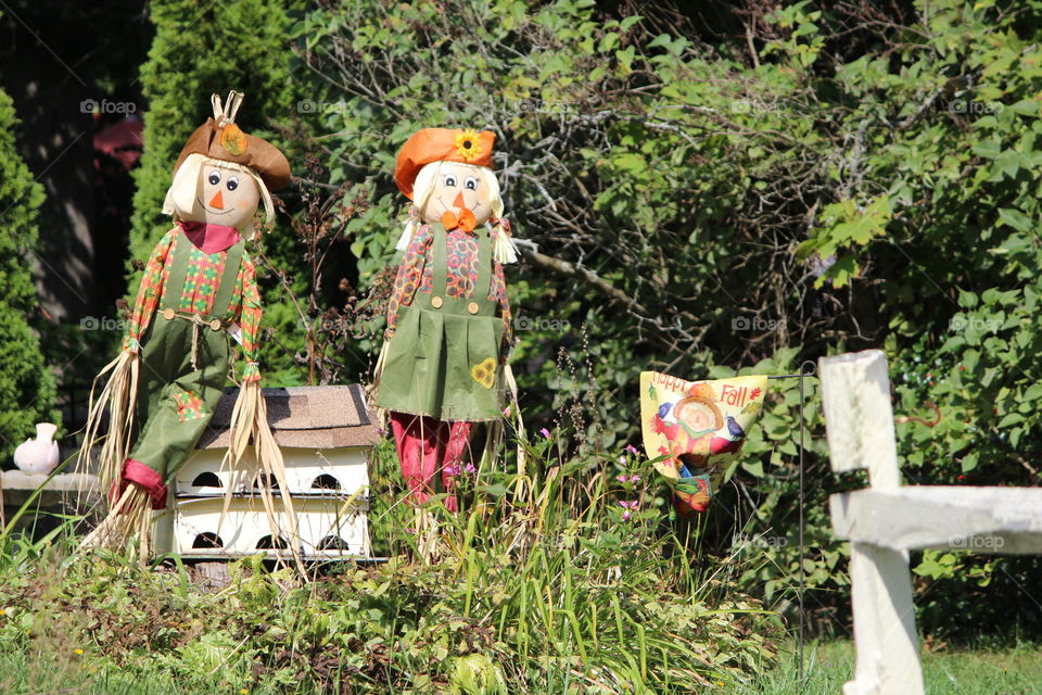 #scarecrow