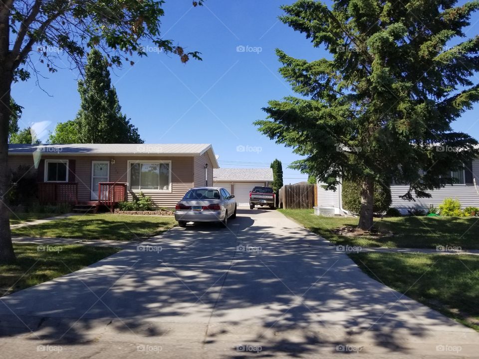 Home, House, Tree, No Person, Driveway