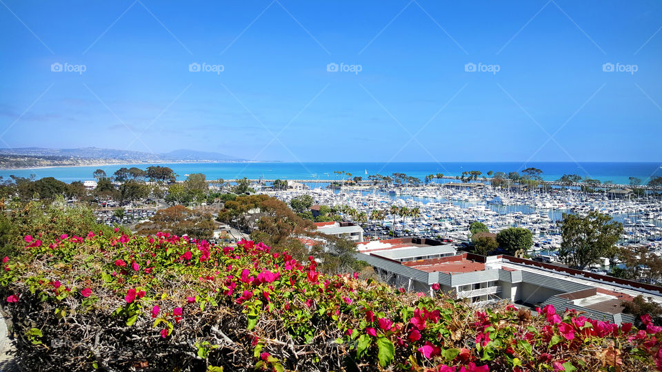 Dana Point Harbor, California