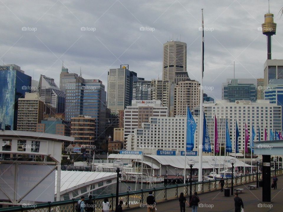 SYDNEY, AUSTRALIA THE SYDNEY HARBOUR