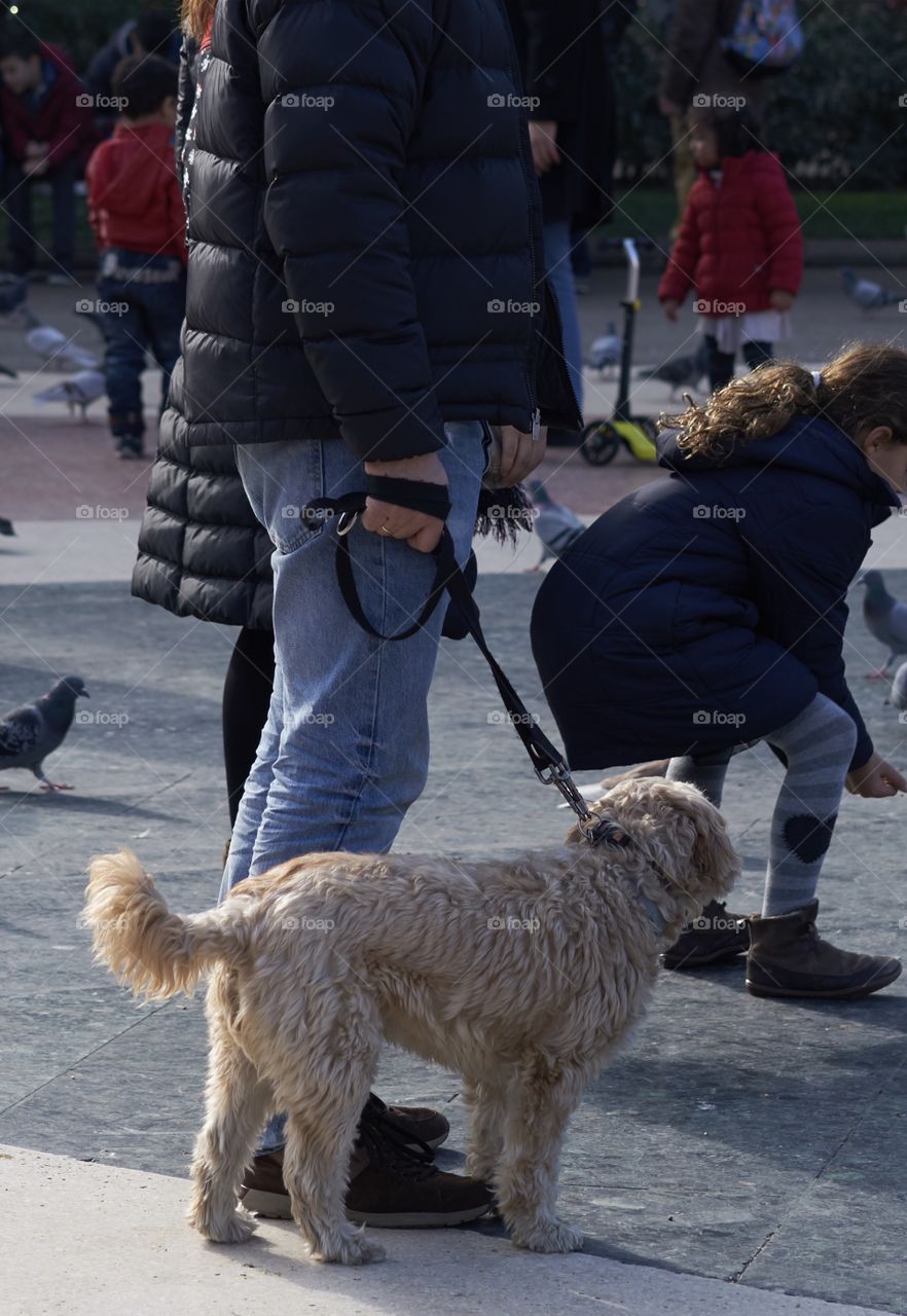 At the Pigeons Square