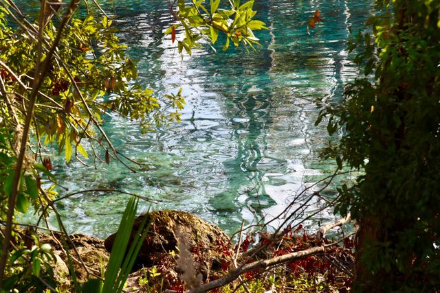 Turquoise Reflection