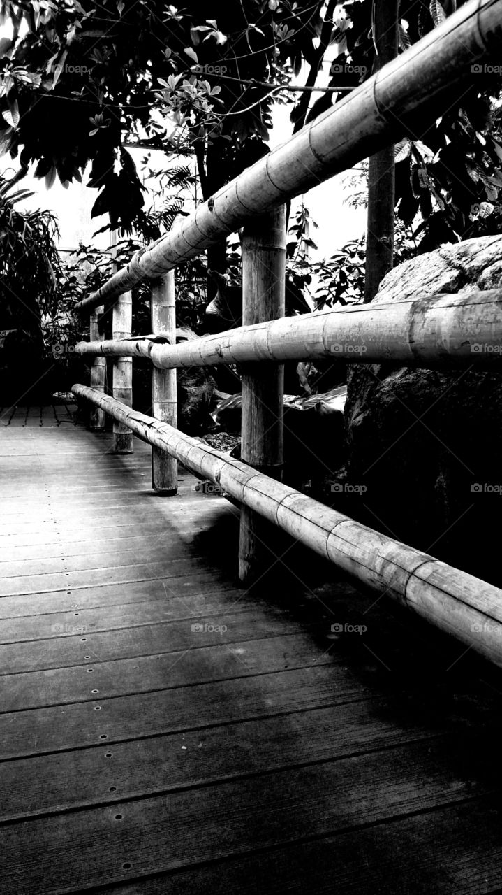 bamboo Bridge like an white floral