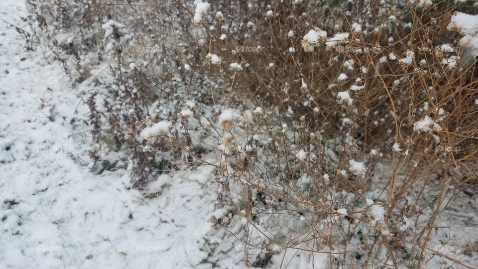 Desktop, Wall, Pattern, Abstract, Winter