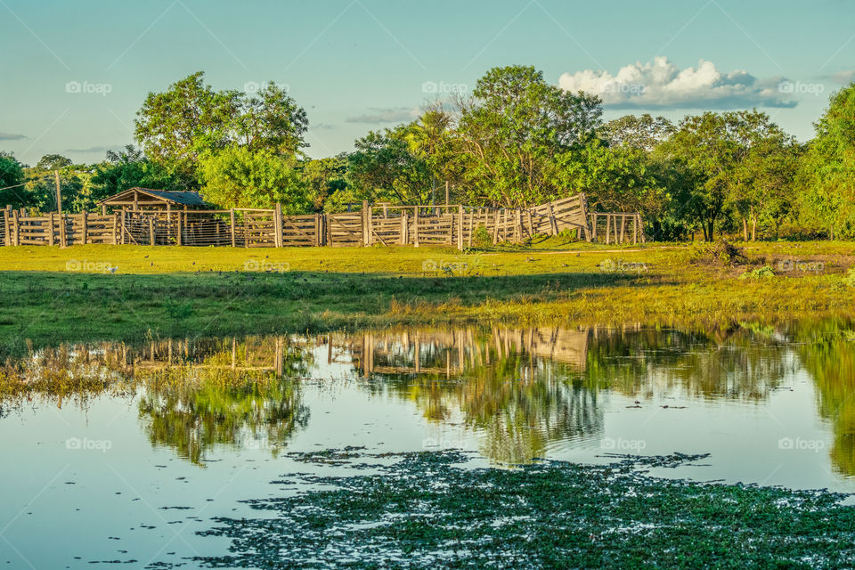 reflection