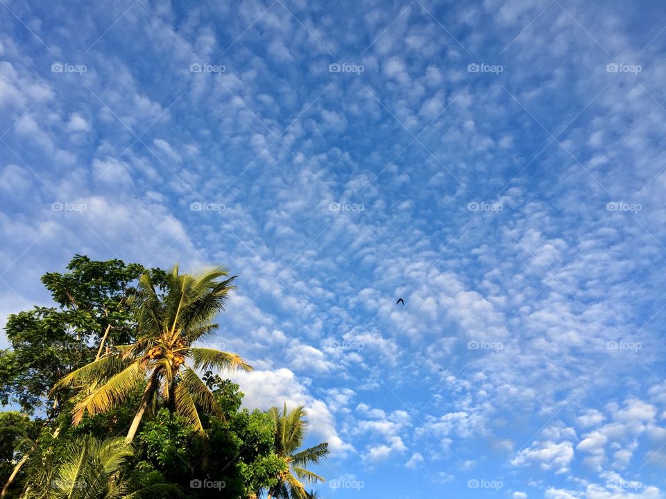 Beautiful clouds