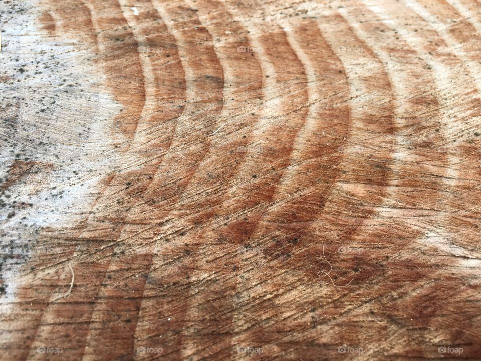 Tree rings