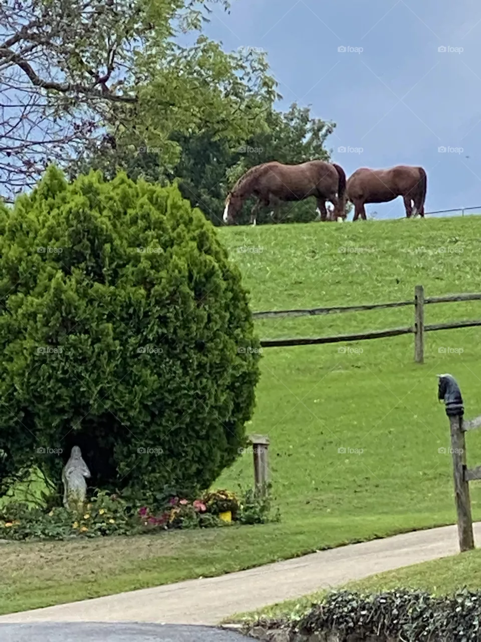 I love where I live 