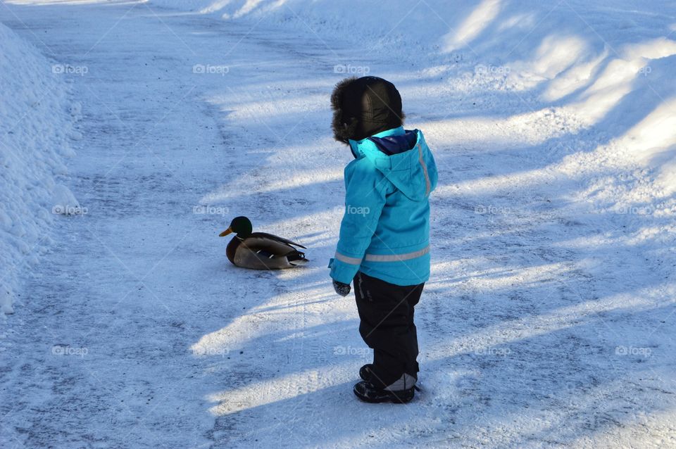 Snow, Winter, Ice, Cold, Outdoors