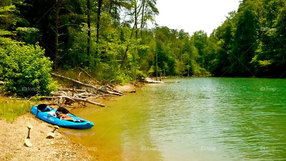 Kayak Adventure. Taking a rest from kayaking the river