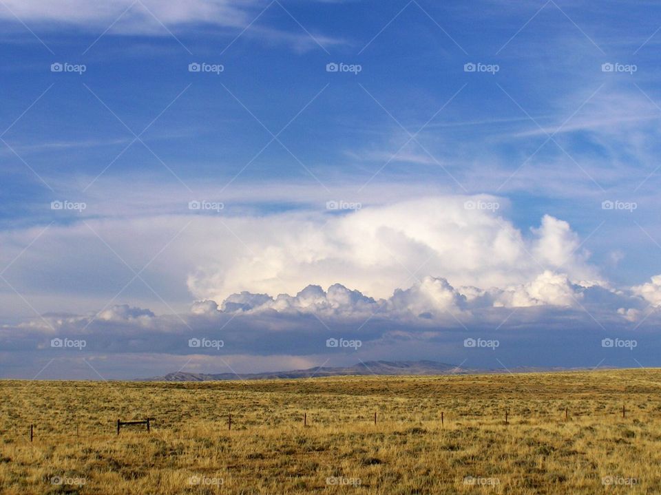 Wyoming Plains