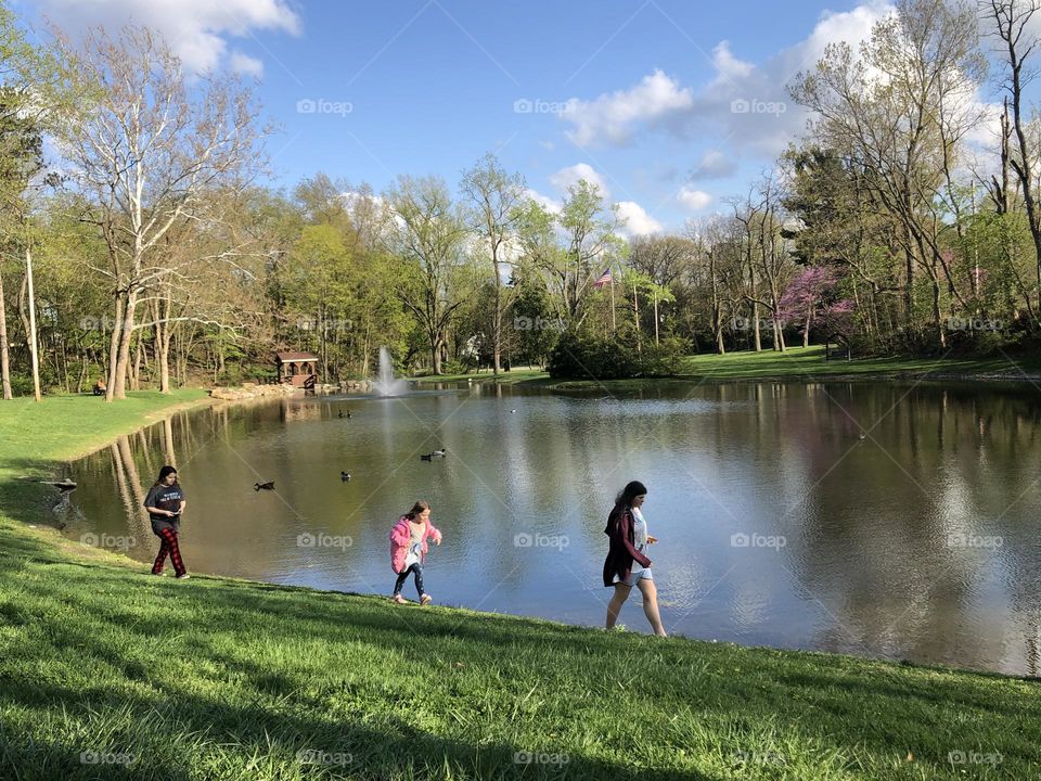 The little Beatles of the pond 