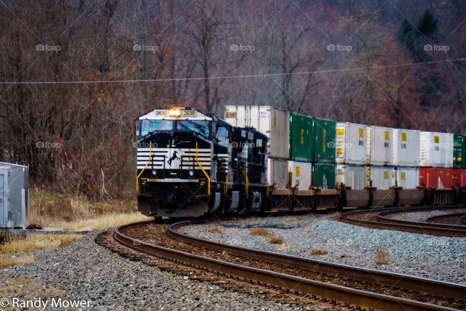 NS intermodal train