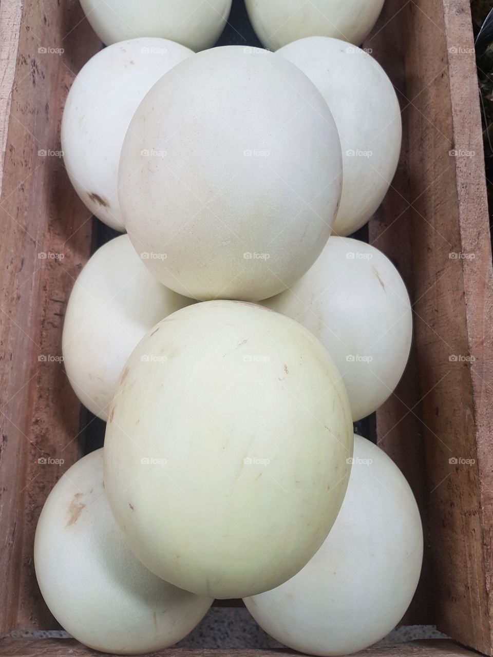 Apple Cucumber variety fresh fruit and vegetables market