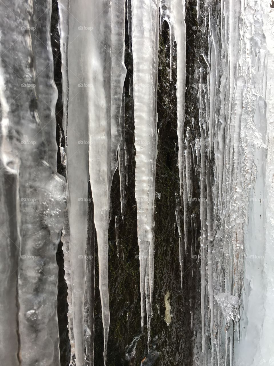 Icicle from frozen waterfalls 