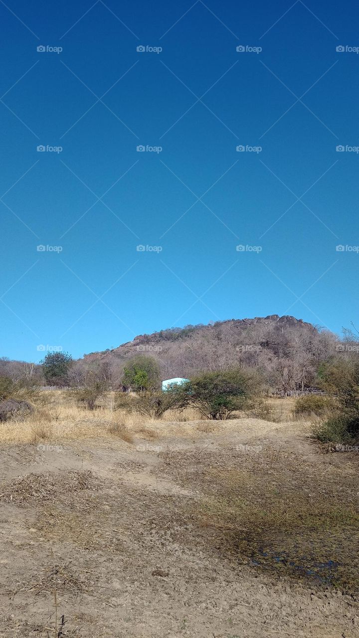 blue house during the dry season