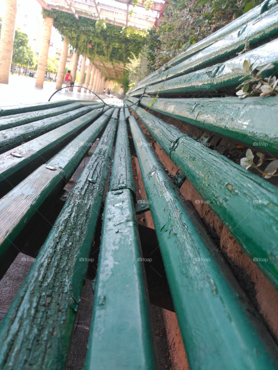 Close-up of a bench