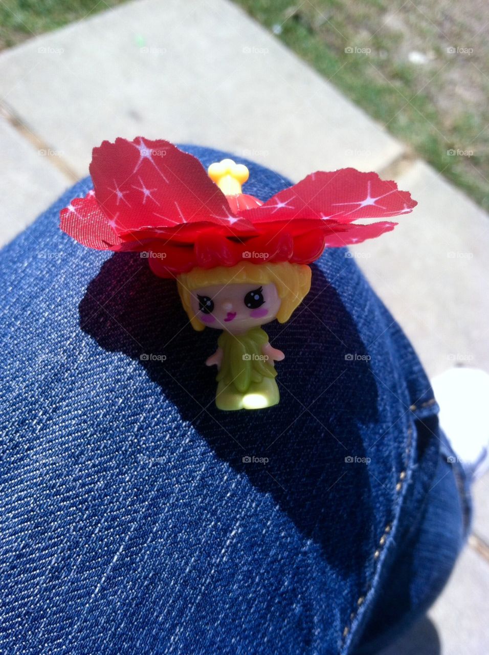 No Person, Flower, Winter, Color, Wear