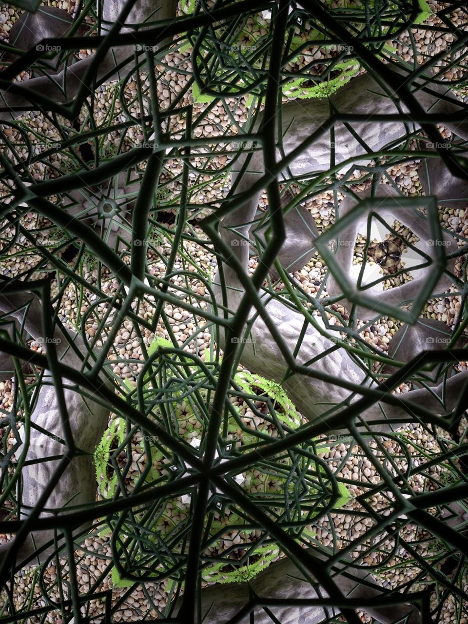 Kaleidoscope 8. My garden 