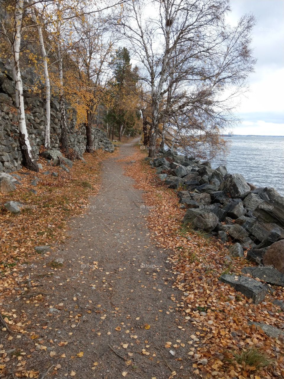 Autumn walk next to the Braviken bay, Baltic sea, Sweden 