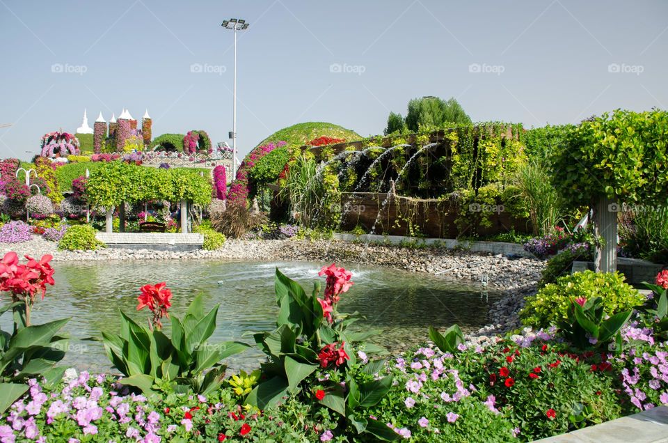 Urban Nature Plants, Dubai